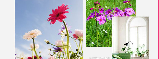 菱花秋水_05.jpg