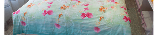 菱花秋水_12.jpg