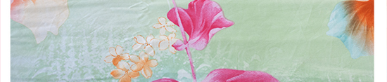 菱花秋水_26.jpg