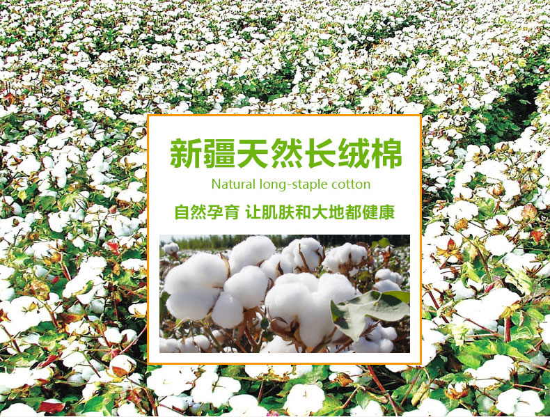 1506689750465125.jpg 白玉无瑕_12_看图王.jpg