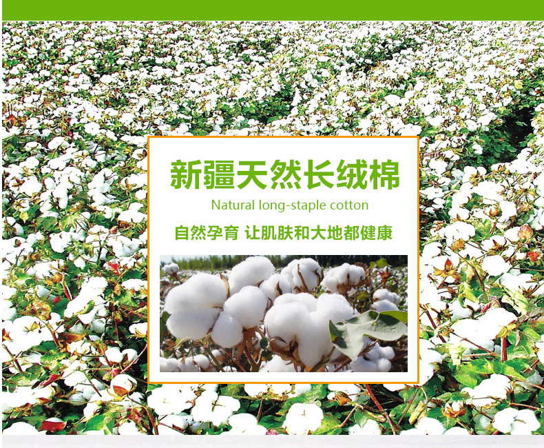 1506764045864214.jpg 思念_14_看图王.jpg