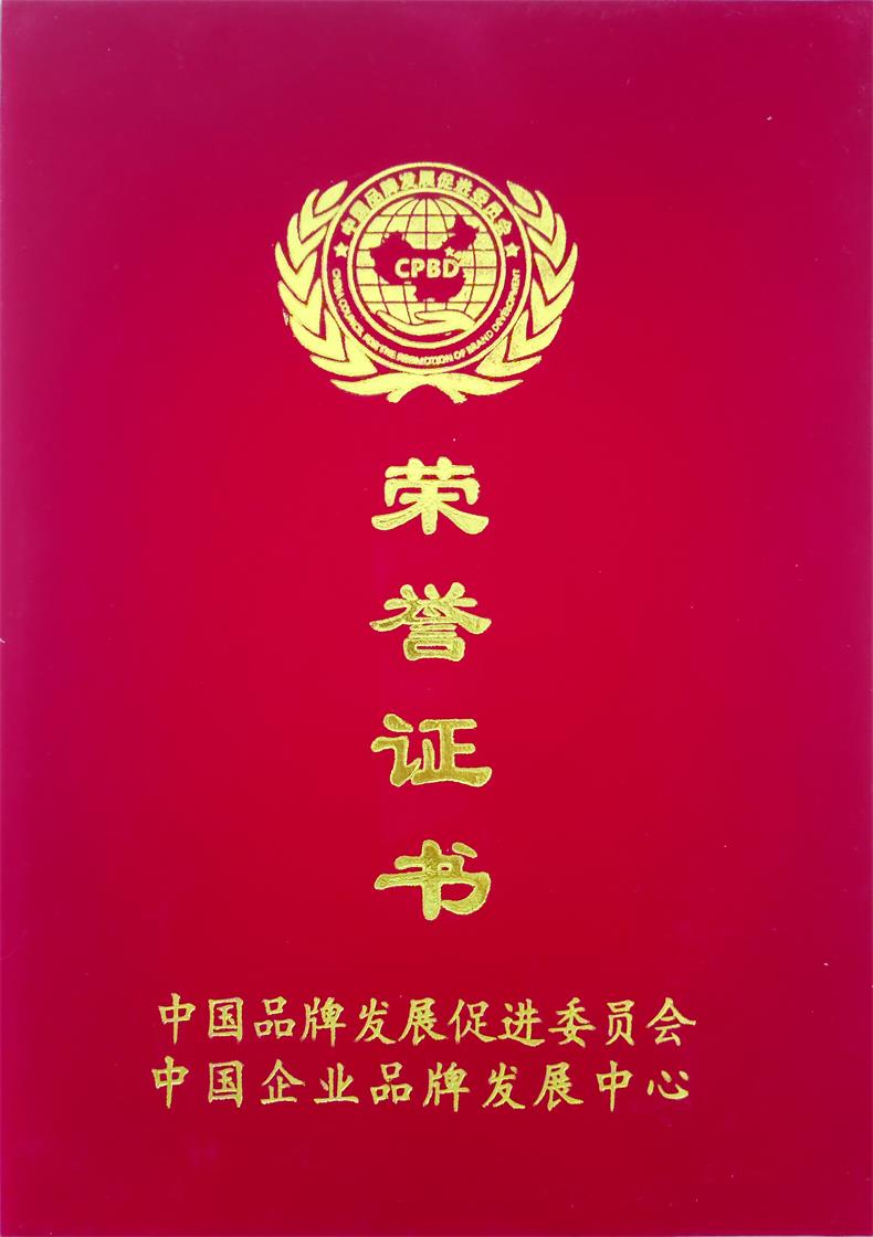 中国品牌发展促进委员会.jpg