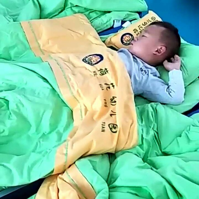 案例二 荷花幼儿园图片